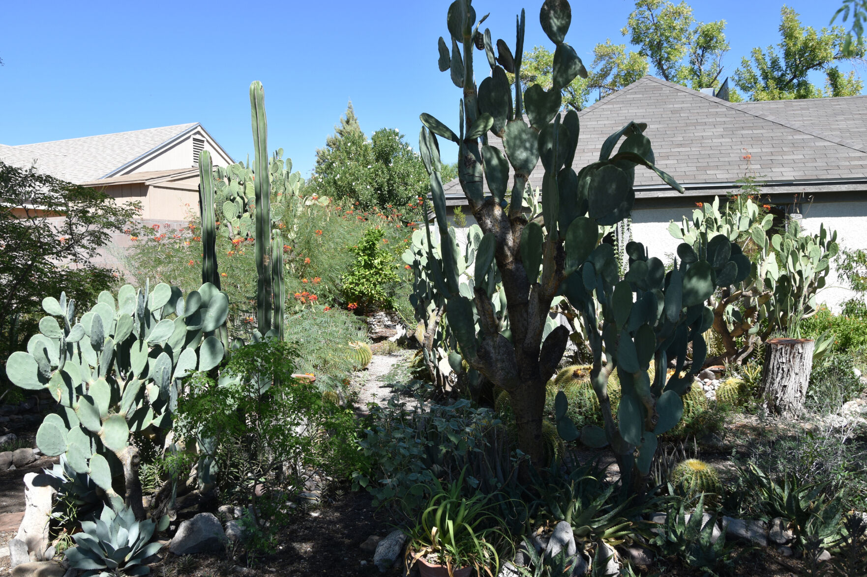 2023 Master Gardener Home Garden Show
